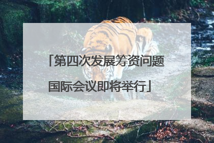 第四次发展筹资问题国际会议即将举行