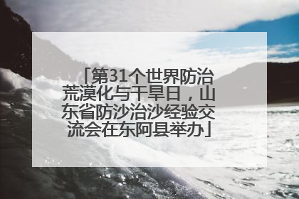 第31个世界防治荒漠化与干旱日，山东省防沙治沙经验交流会在东阿县举办