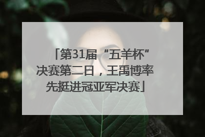 第31届“五羊杯”决赛第二日，王禹博率先挺进冠亚军决赛