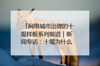 网络城市治理的十堰样板系列报道｜新闻专访：十堰为什么成为“黑马型”城市治理网络维度典型