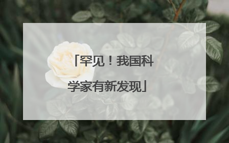 罕见！我国科学家有新发现