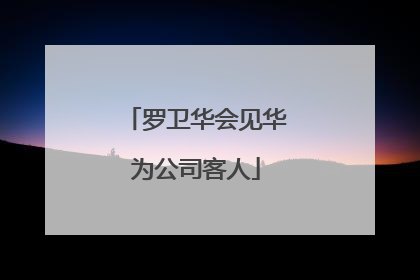 罗卫华会见华为公司客人