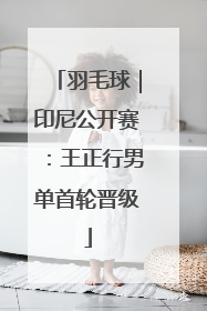 羽毛球｜印尼公开赛：王正行男单首轮晋级