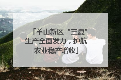 羊山新区“三夏”生产全面发力，护航农业稳产增收