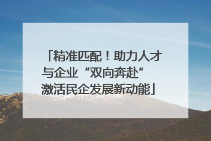 精准匹配！助力人才与企业“双向奔赴” 激活民企发展新动能