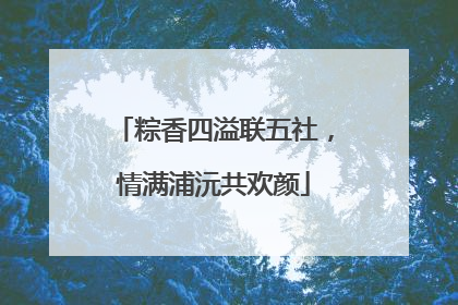 粽香四溢联五社，情满浦沅共欢颜