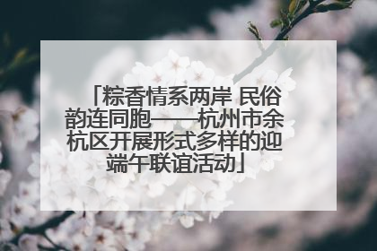 粽香情系两岸 民俗韵连同胞——杭州市余杭区开展形式多样的迎端午联谊活动