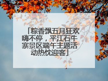 粽香飘五月狂欢嗨不停，平江石牛寨景区端午主题活动热忱迎客