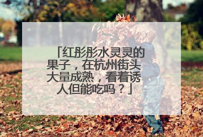 红彤彤水灵灵的果子，在杭州街头大量成熟，看着诱人但能吃吗？
