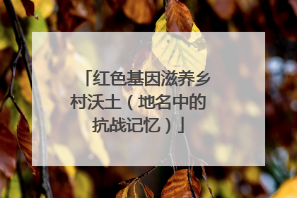 红色基因滋养乡村沃土（地名中的抗战记忆）