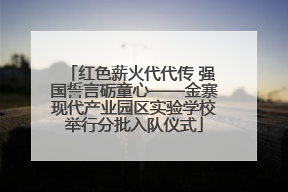 红色薪火代代传 强国誓言砺童心——金寨现代产业园区实验学校举行分批入队仪式