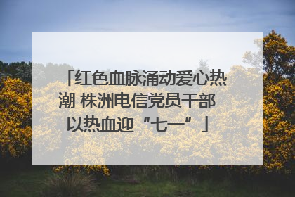 红色血脉涌动爱心热潮 株洲电信党员干部以热血迎“七一”