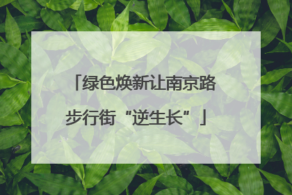 绿色焕新让南京路步行街“逆生长”