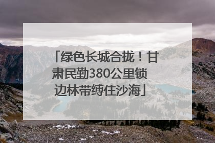 绿色长城合拢！甘肃民勤380公里锁边林带缚住沙海