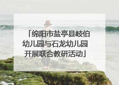 绵阳市盐亭县岐伯幼儿园与石龙幼儿园开展联合教研活动