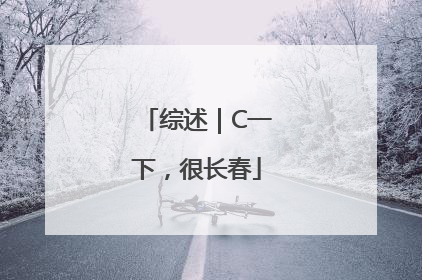 综述｜C一下，很长春