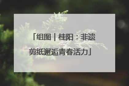 组图｜桂阳：非遗剪纸邂逅青春活力