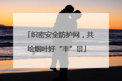 织密安全防护网，共绘烟叶好“丰”景