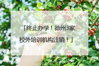 终止办学！德州3家校外培训机构注销！