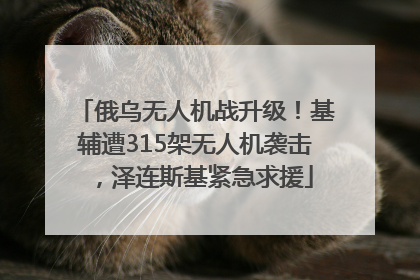 俄乌无人机战升级！基辅遭315架无人机袭击，泽连斯基紧急求援