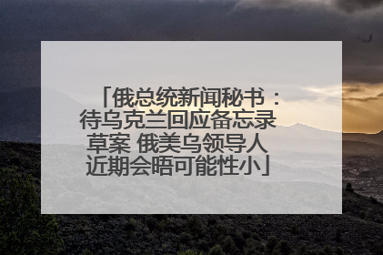 俄总统新闻秘书：待乌克兰回应备忘录草案 俄美乌领导人近期会晤可能性小
