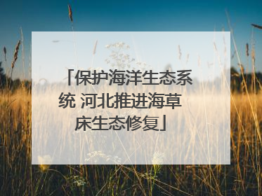 保护海洋生态系统 河北推进海草床生态修复
