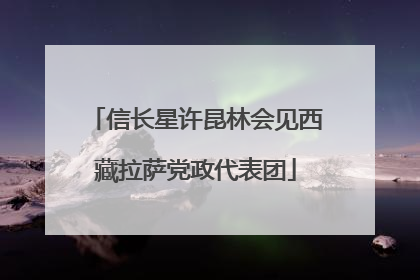 信长星许昆林会见西藏拉萨党政代表团