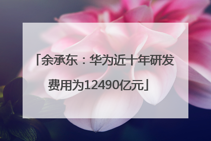余承东：华为近十年研发费用为12490亿元
