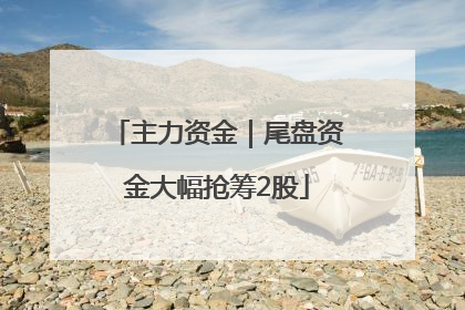 主力资金｜尾盘资金大幅抢筹2股