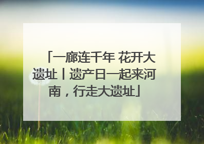 一廊连千年 花开大遗址丨遗产日一起来河南，行走大遗址