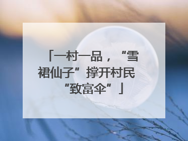 一村一品，“雪裙仙子”撑开村民“致富伞”