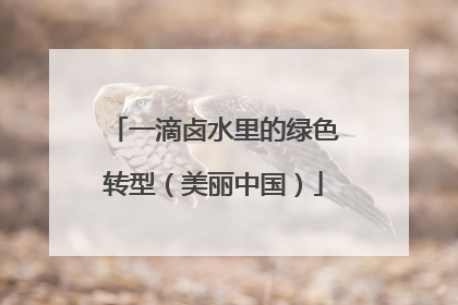一滴卤水里的绿色转型（美丽中国）