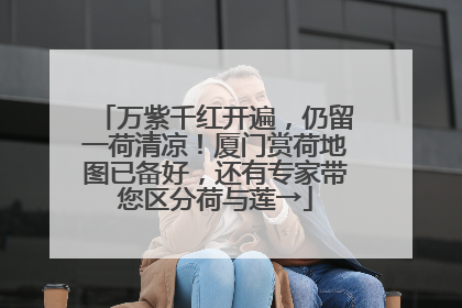 万紫千红开遍，仍留一荷清凉！厦门赏荷地图已备好，还有专家带您区分荷与莲→