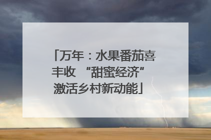 万年：水果番茄喜丰收 “甜蜜经济”激活乡村新动能
