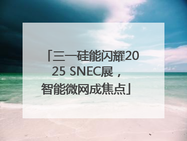 三一硅能闪耀2025 SNEC展，智能微网成焦点