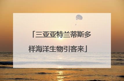 三亚亚特兰蒂斯多样海洋生物引客来