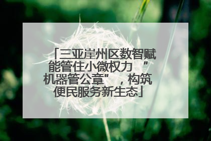 三亚崖州区数智赋能管住小微权力 “机器管公章”，构筑便民服务新生态