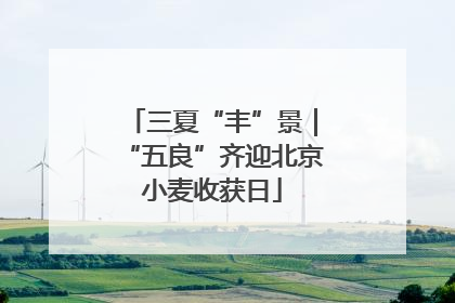 三夏“丰”景｜“五良”齐迎北京小麦收获日