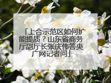上合示范区如何扩能提质？山东省商务厅副厅长张庆伟答央广网记者问