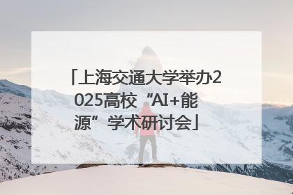 上海交通大学举办2025高校“AI+能源”学术研讨会