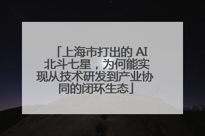 上海市打出的 AI 北斗七星，为何能实现从技术研发到产业协同的闭环生态