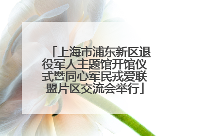 上海市浦东新区退役军人主题馆开馆仪式暨同心军民戎爱联盟片区交流会举行