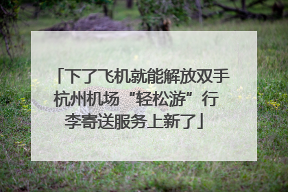 下了飞机就能解放双手 杭州机场“轻松游”行李寄送服务上新了