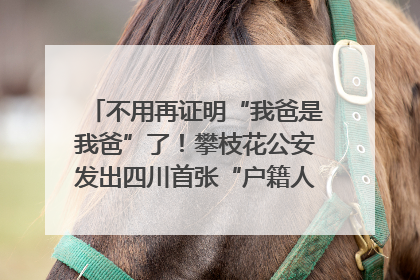 不用再证明“我爸是我爸”了！攀枝花公安发出四川首张“户籍人口直系亲属关系谱”