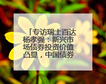 专访瑞士百达杨孝强：新兴市场债券投资价值凸显，中国债券适合作为“稳定器”