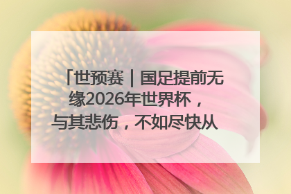 世预赛｜国足提前无缘2026年世界杯，与其悲伤，不如尽快从选帅开始重建