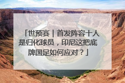 世预赛｜首发阵容十人是归化球员，印尼这把底牌国足如何应对？