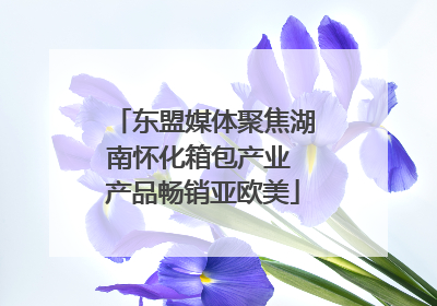 东盟媒体聚焦湖南怀化箱包产业 产品畅销亚欧美