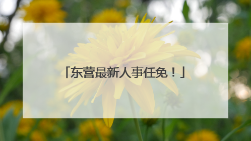 东营最新人事任免！