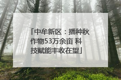 中牟新区：播种秋作物53万余亩 科技赋能丰收在望